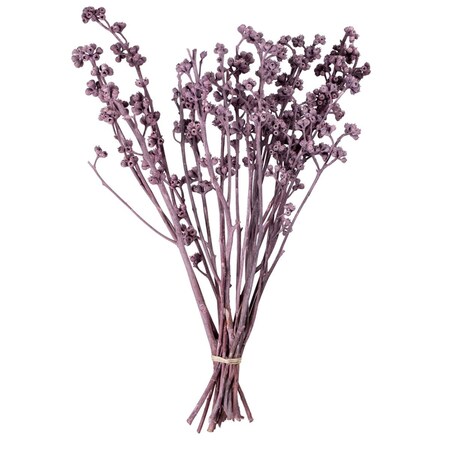 Vickerman 13 x 1-3 in. Red Gum Brombeer Frosted Bunch - 14 Piece H1RGM575